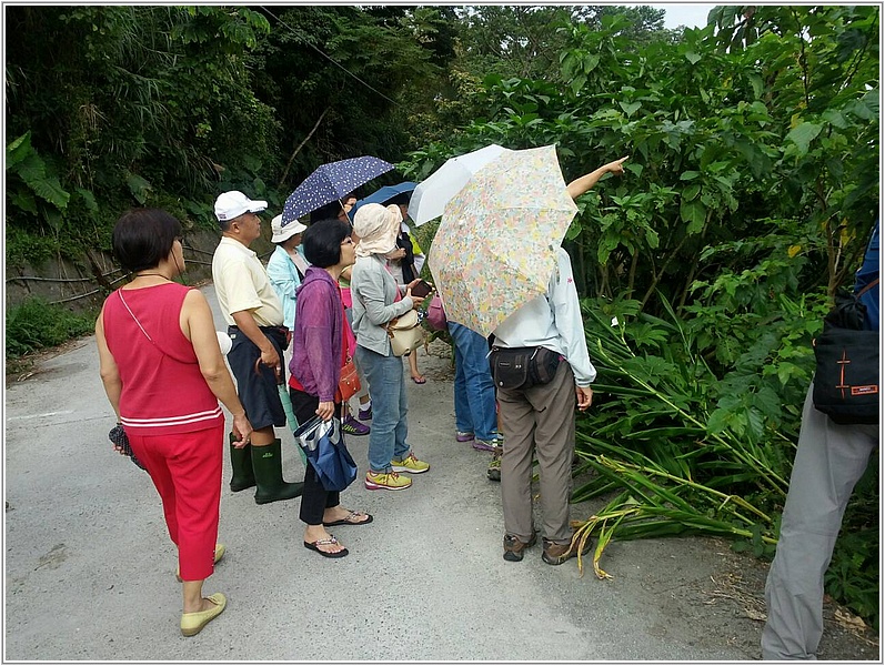 2014-08-12 10部落巡禮理事長解說導覽.jpg